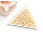 Miyuki Rocailles Rotunde 11/0 Dark Beige Ceylon (10g)
