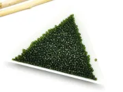 Toho rotunde 15/0 transparent olivine (5g)
