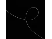 Guta nylon neelastica grosime 0.20mm (100m)