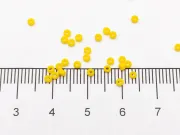 Miyuki Rocailles Rotunde 11/0 Opaque Dark Yellow (10g)