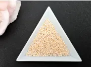 Miyuki delica 11/0 Opaque lt. Peach Ceylon (5g)