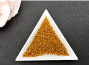 Miyuki delica 11/0 Opaque Dyed Pumpkin (5g)