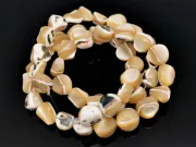 Sirag sidef trochus nugget 10~8x9~5x4~3mm