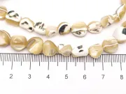Sirag sidef trochus nugget 10~8x9~5x4~3mm