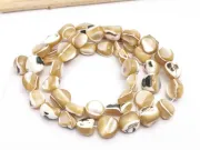 Sirag sidef trochus nugget 10~8x9~5x4~3mm