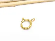 Inchizatoare otel inoxidabil 304 placat IP rotunda 17x12x2mm