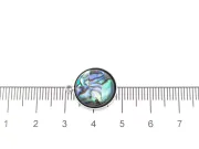 Pandantiv scoica Paua 18x15x4mm