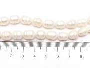 Sirag scurt perle de cultură 10~8x7~8mm