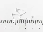 Tortite cu tija otel inoxidabil 304 platou 3mm argintiu deschis (2buc)