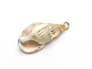 Pandantiv scoica electroplacata 25~18x11~8x10~7mm