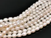 Sirag perle de cultura 7~6x4~5mm