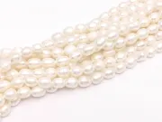 Sirag perle de cultura 7~6x4~5mm