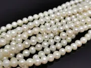 Sirag perle de cultura 6x5mm
