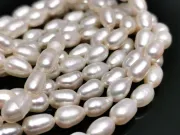 Sirag perle de cultura 8~7x5~4mm