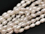 Sirag perle de cultura 8~7x5~4mm