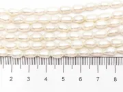 Sirag perle de cultura 8~7x5~4mm
