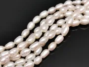 Sirag perle de cultura 8~7x5~4mm