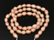 Sirag perle de cultura 7~5x5mm somoniu