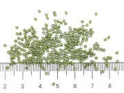 Miyuki delica 11/0 Matte Opaque Olivine (5g)