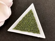 Miyuki delica 11/0 Matte Opaque Olivine (5g)
