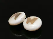 Margele de sidef alb cu gravura aurie in forma de fluture 8x5mm