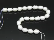 Sirag scurt perle de cultura 10~8x7mm