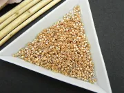 Miyuki delica 11/0 galvanized gold dyed (5g)