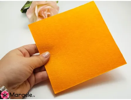 Fetru rigid 1mm -model29