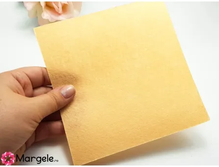 Fetru rigid 1mm -model33