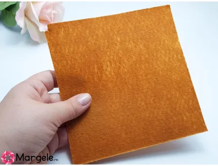 Fetru rigid 1mm -model5