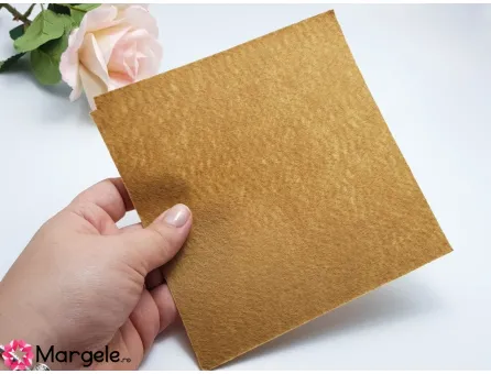 Fetru rigid 1mm -model6