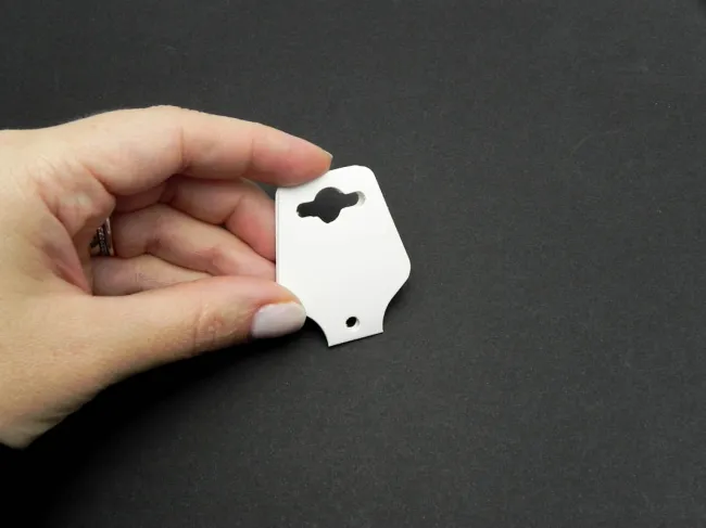 Cartonas suport bratari si coliere alb (10buc)