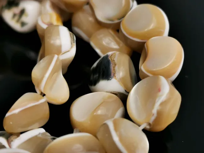 Sirag sidef trochus nugget 10~8x9~5x4~3mm