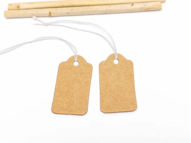 Etichete pentru pret cu ata elastica 33x18x0.4mm natur (50buc)