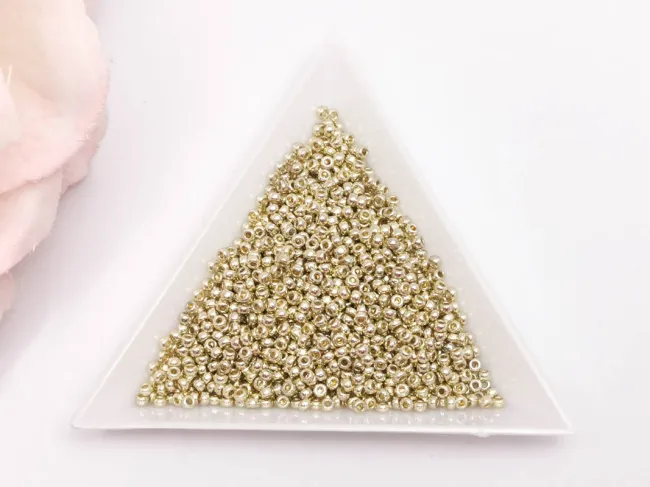 Miyuki Rocailles Rotunde 11/0 Duracoat Galvanized Silver (10g)