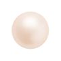 Perle preciosa maxima 12mm creamrose (1buc)
